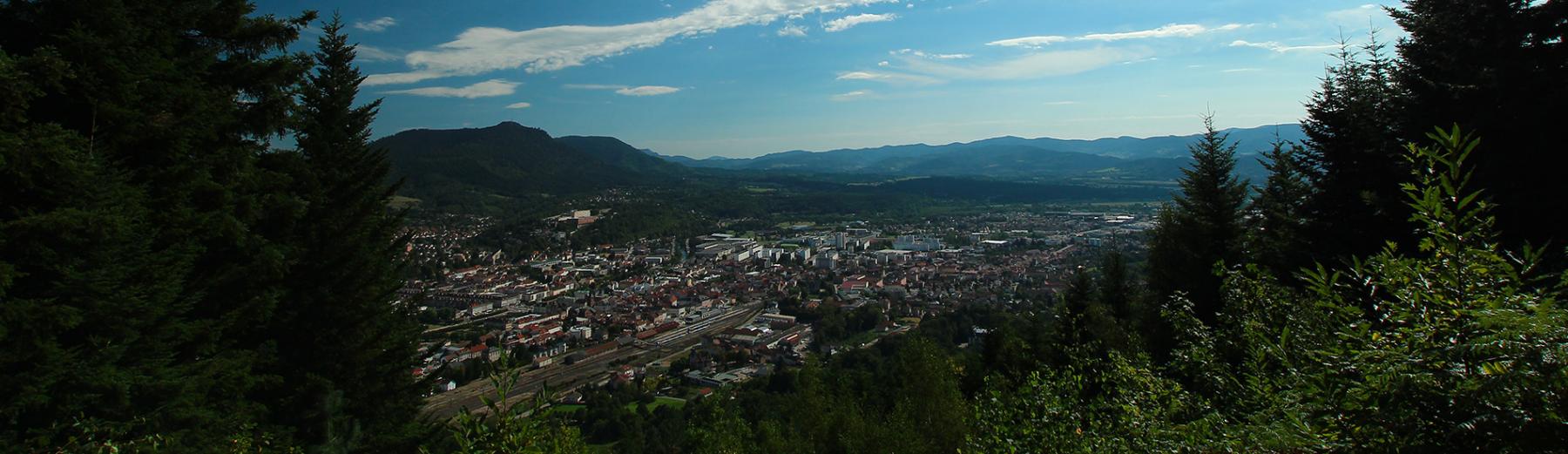 Insertion Vosges : une autre vision de l'emploi dans les Vosges